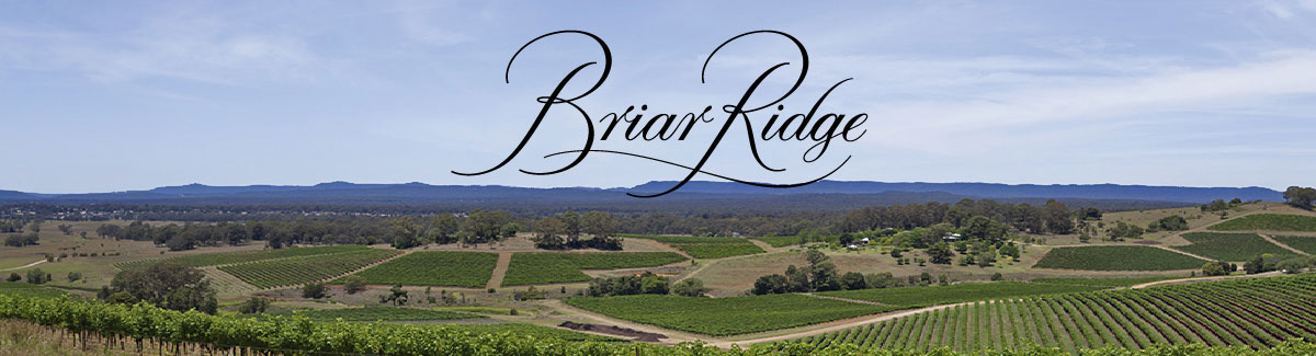 brand-page-banner-briar-ridge-1200x325-01.jpg