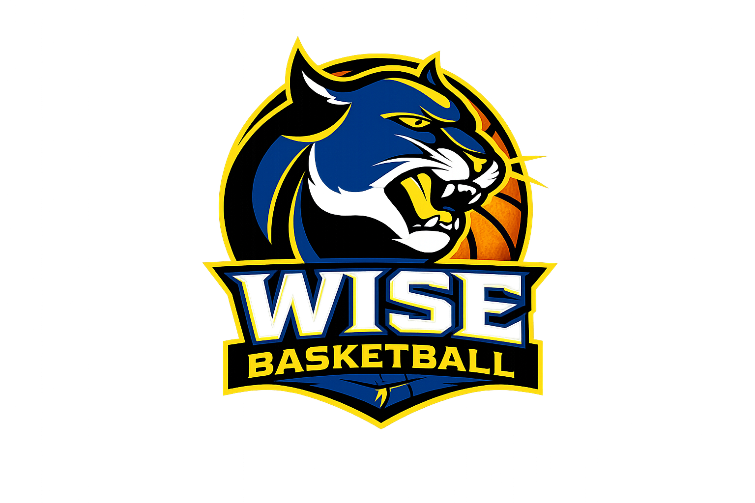Wise Basketball