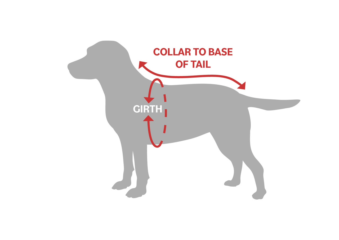 diagram showing how to measure your dog