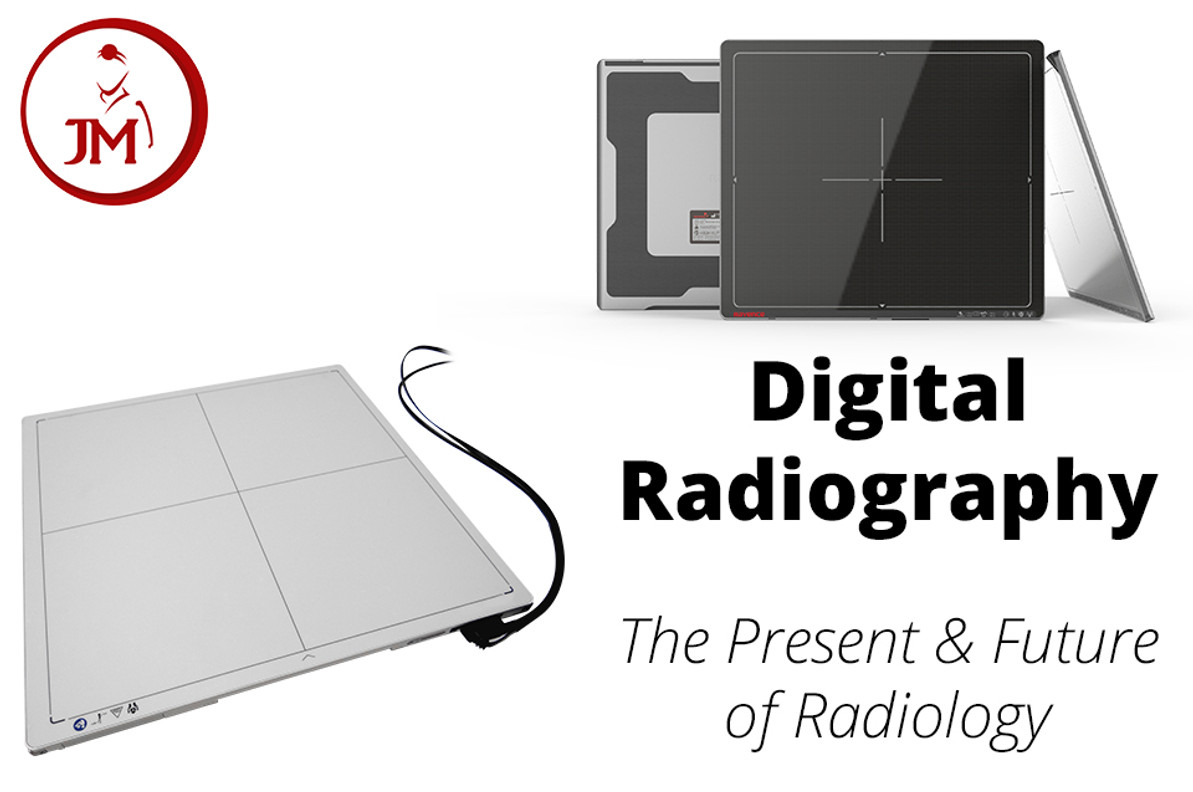 digital radiography – the present and future of