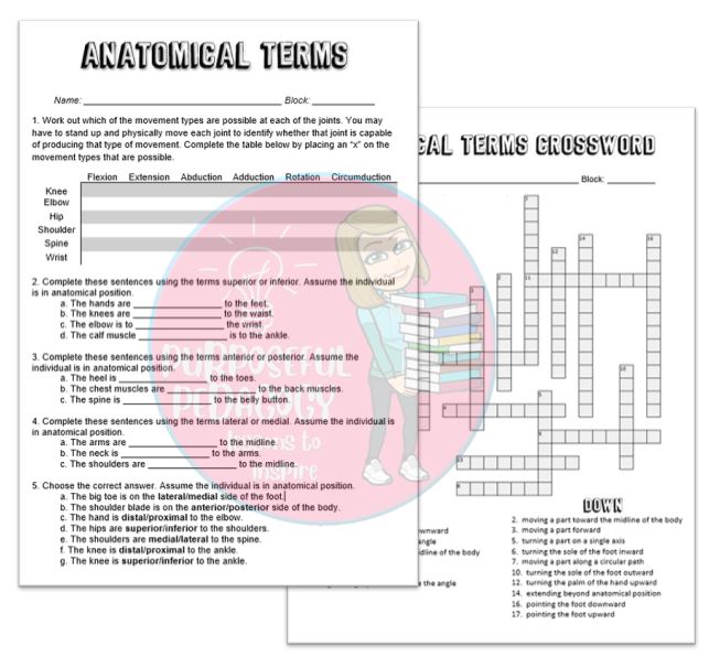 Anatomical Terminology Worksheet Answers Printable Word Searches