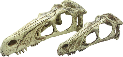 Incredipet Raptor Skull Reptile Terrarium Ornament