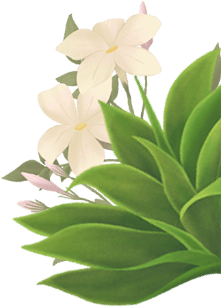 testimonial flower image