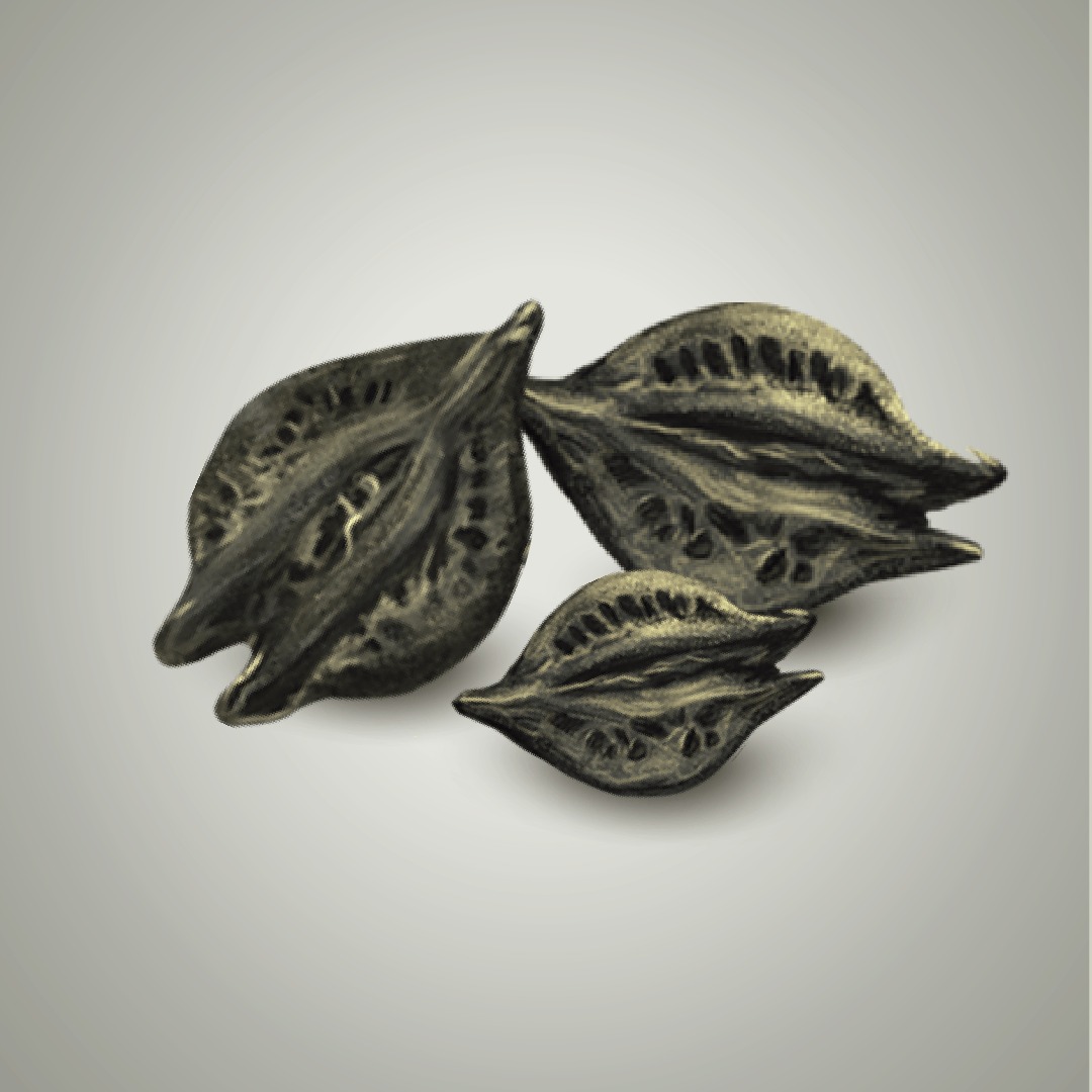 image inside product