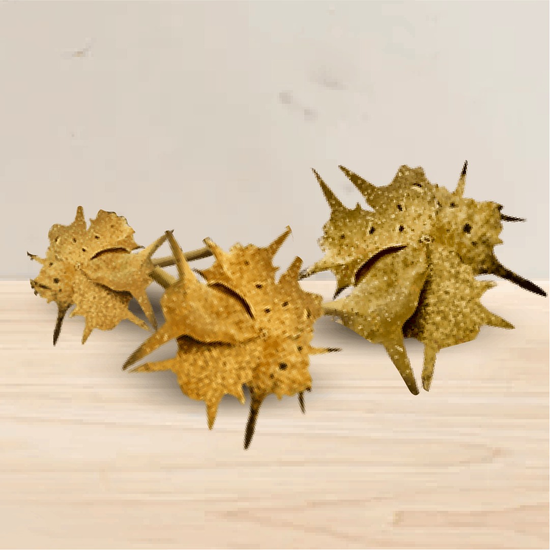 image inside product