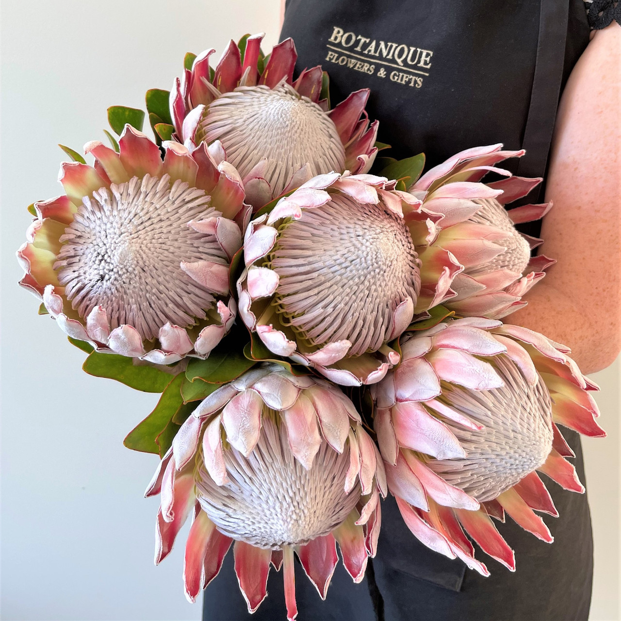 Florists Helensvale | Flowers Gold Coast | Flower Delivery 4212 - Botanique