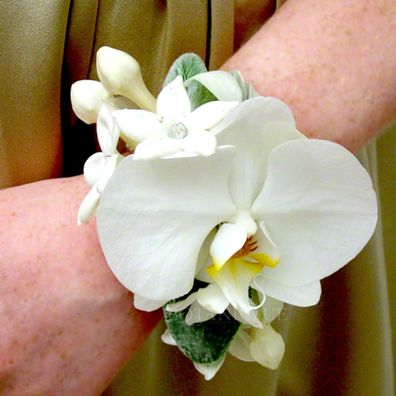 Corsages Gold Coast Order A Wrist Corsage Of White Phalaenopsis Orchids Crystal Wrist Band And Gold Coast Delivery Options