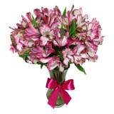Alstroemeria in Vase - FREE GOLD COAST* DELIVERY Alstroemeria in Vase - FREE GOLD COAST* DELIVERY