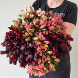 Alstroemeria in Vase - FREE GOLD COAST* DELIVERY