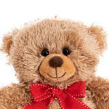 Mr Cuddles 20cm