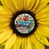 Teacher's Day Mixed Bouquet - FREE GOLD COAST* DELIVERY