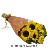 Sunflower wrap available in 2 sizes.