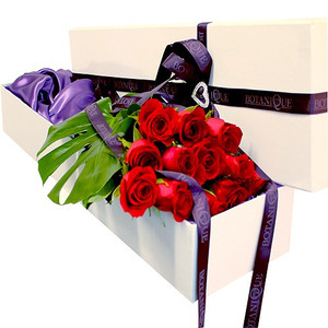 Botanique Florist Gold Coast Hollywood Box Dozen Roses