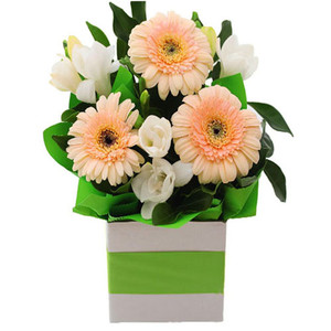 Spring Time flower arrangement of gerbera Gold Coast Delivery - Botanique Spring Time flower arrangement of gerbera Gold Coast Delivery - Botanique