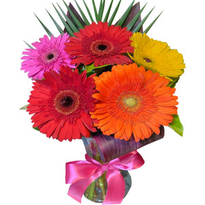 Gerberas in Vase - FREE GOLD COAST* DELIVERY Gerberas in Vase - FREE GOLD COAST* DELIVERY