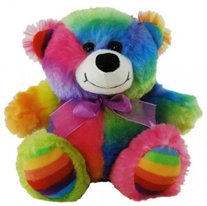 Rainbow Bear 18cm Rainbow Bear 18cm