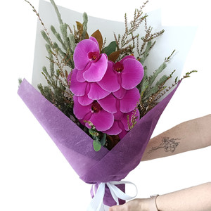 Phalaenopsis Orchid Giftwrap