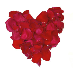 Fresh Red Rose Petal Mini Bag Fresh Red Rose Petal Mini Bag