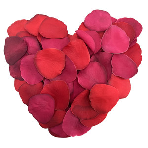 Artificial Red Rose Petal Mini Bag Artificial Red Rose Petal Mini Bag