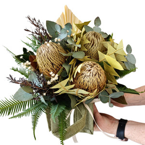 Botanical Banksias Botanical Banksias
