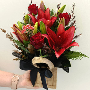 Sienna - FREE GOLD COAST* DELIVERY