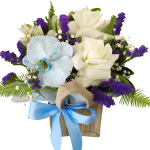 Bluey - FREE GOLD COAST* DELIVERY