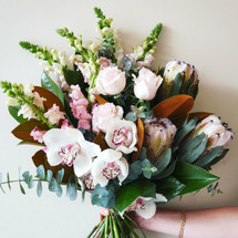 All New Luxury Range All New Luxury Range