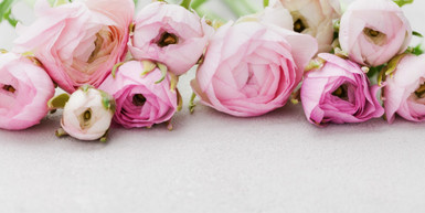 Highlighting Our Best-Selling Flowers for Gold Coast Delivery Highlighting Our Best-Selling Flowers for Gold Coast Delivery