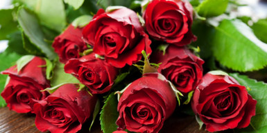 Our Gold Coast Florists Are Here to Make Your Holidays Bright! Our Gold Coast Florists Are Here to Make Your Holidays Bright!