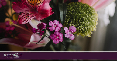 Looking For Flowers After Valentine’s Day? Our Gold Coast Florists Can Help! Looking For Flowers After Valentine’s Day? Our Gold Coast Florists Can Help!
