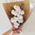 Phalaenopsis Orchid Giftwrap