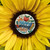 Teacher's Day Mixed Bouquet - FREE GOLD COAST* DELIVERY