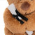 Graduation Teddy 20cm