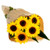 Sunflowers Gold Coast delivery