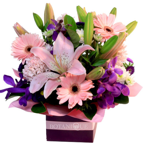 Pink  purple Flowers Gold Coast Delivery.