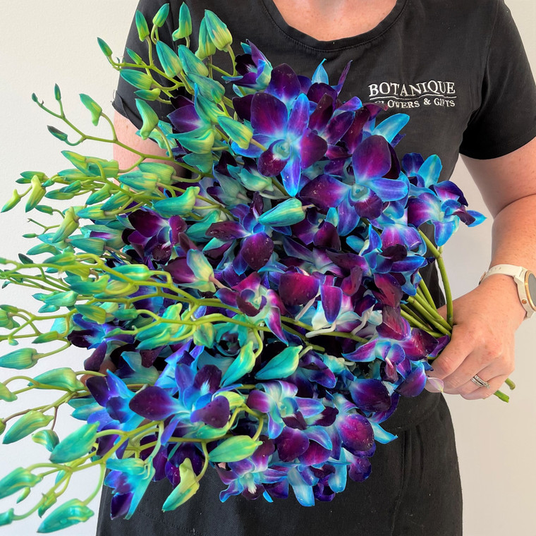 Flowers Delivery Gold Coast Australia Aqua Orchid and Lily flowers