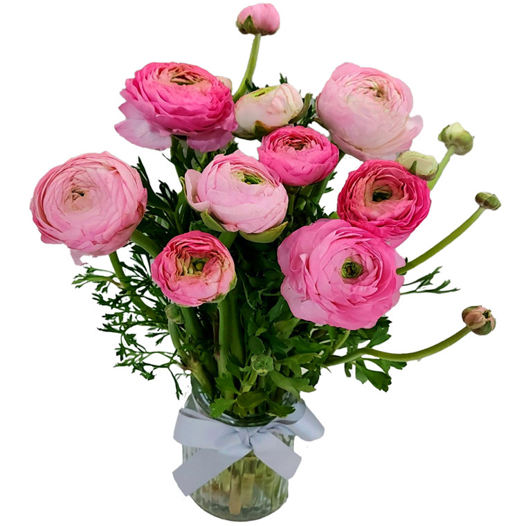 Ranunculus in Vase - FREE Gold Coast* Delivery