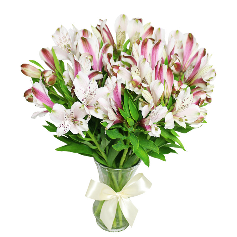 Alstroemeria in Vase - FREE GOLD COAST* DELIVERY