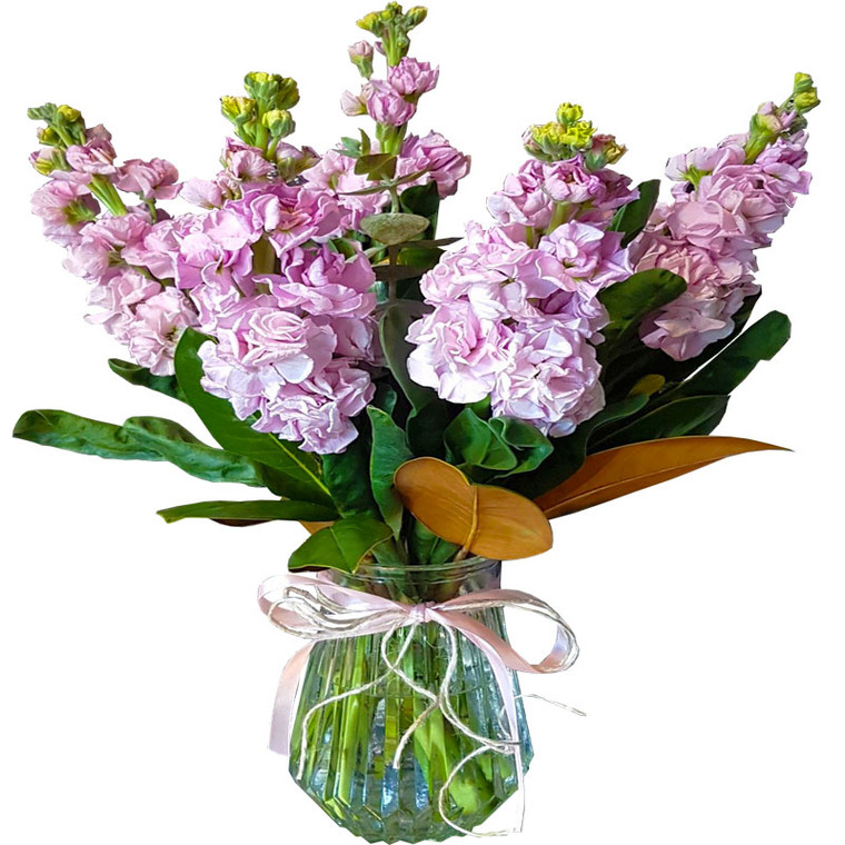 MARKET SPECIAL - Fragrant Stock in Vase