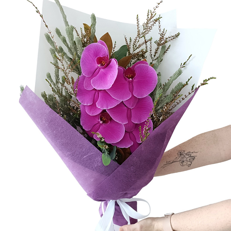 Phalaenopsis Orchid Giftwrap