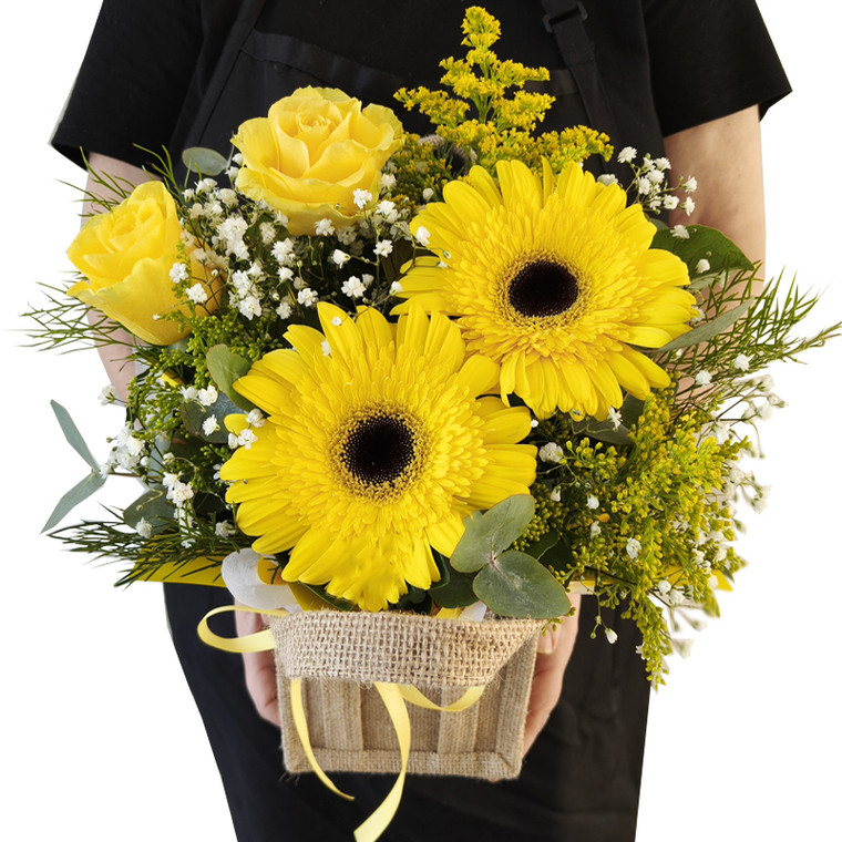 Bright Lights - FREE GOLD COAST* DELIVERY