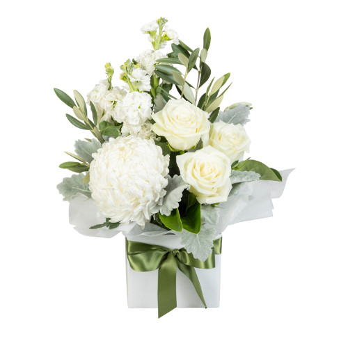 Ivory Elegance