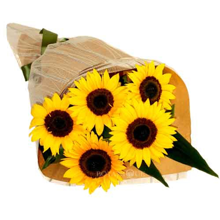 Sunflowers Gold Coast delivery
