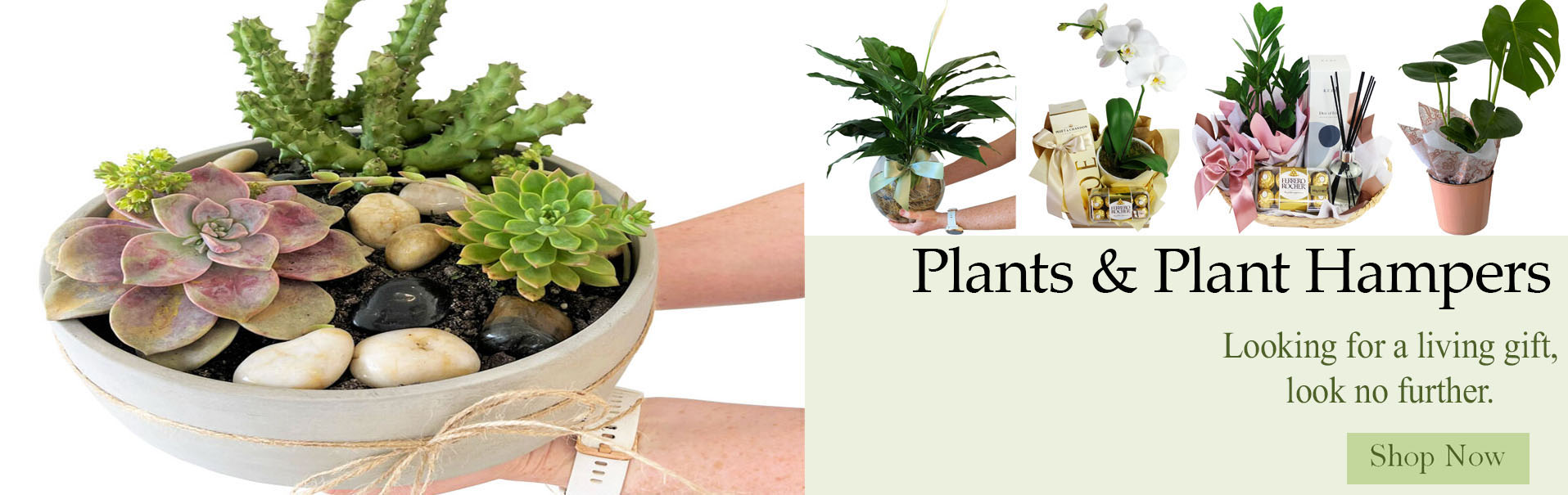 Florists Helensvale Flowers Online Gold Coast Flower Delivery 4212