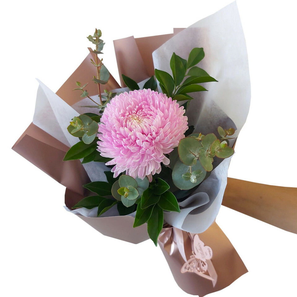 Carnations/Chrysanthemums