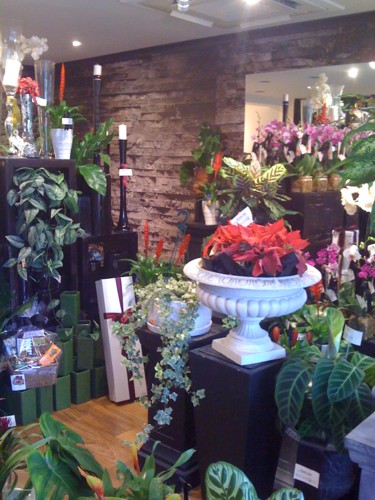 botanique-show-room-010sm.jpg