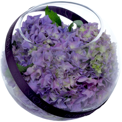 purple-hydrangea-fish-bowl-flower-arrangement-for-gold-coast-delivery.jpg