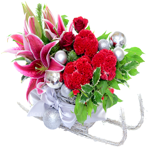 send-flowers-in-santas-sleigh-gold-coast-australia.jpg