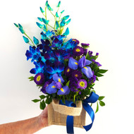 Bluebell - FREE GOLD COAST* DELIVERY