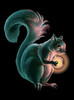 Squirrel - Multicolor on Heather Black Triblend Womens Dolman T Shirt